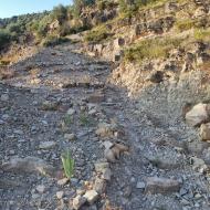 L'Aguda: camí vell  Ramon Sunyer