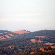 Ardèvol: masos  Ramon Sunyer