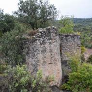 Fontanet: cups de vi a mas Cortaire  Ramon Sunyer