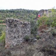 Fontanet: cups de vi a mas Cortaire  Ramon Sunyer