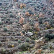 Sanaüja: Camí dels Escots  Ramon Sunyer