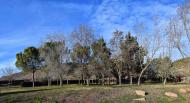 Torà: Parc  Ramon Sunyer