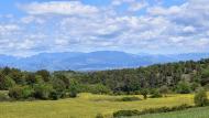 Prades de la Molsosa: paisatge  Ramon Sunyer