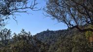 Vilanova de l'Aguda: Església de Sant Miquel de Valldàries  Ramon Sunyer