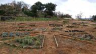 Claret: parc de les olors  Ramon Sunyer