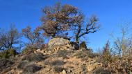 Ardèvol: Dolmen del collet de Su  Ramon Sunyer