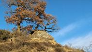 Ardèvol: Dolmen del collet de Su  Ramon Sunyer