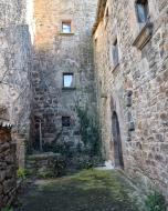 Freixinet:   Ramon Sunyer