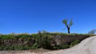 Castellfollit de Riubregós: paisatge  Ramon Sunyer