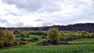 Prades de la Molsosa:   Ramon Sunyer