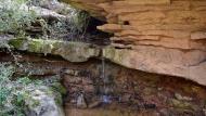 Llanera: Saltant a la riera del castell  Ramon Sunyer