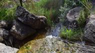 Fontanet: Riera de Claret  Ramon Sunyer