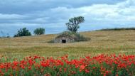 Torà: cabana  Ramon Sunyer