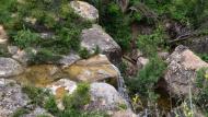 Sallent: Salt a la riera de Sallent  Ramon Sunyer