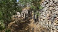 Torà: Camí dels Tísics  Ramon Sunyer