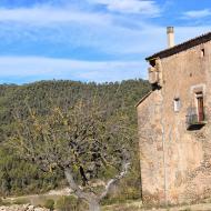 Coaner:   Ramon Sunyer