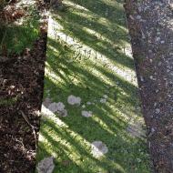 Castelltallat:   Ramon Sunyer