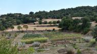 Claret: Parc de les olors  Ramon Sunyer