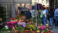 Torà: Flors i planters  Ramon Sunyer