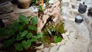 Torà: Uff, quina calor de Màrius Codina  Ramon Sunyer