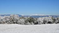 Prades de la Molsosa: paisatge nevat  Ramon Sunyer