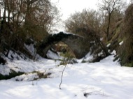 Torà: El Pont del Diable  Ramon Sunyer