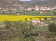 Torà: Vista panoràmica del poble envoltat de sembrats  Ramon Sunyer