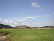 Torà: Panoràmica dels sembrats  Ramon Sunyer