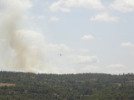 Torà: Vista del foc des de la carretera d'Ardèvol 