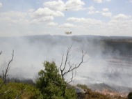 En l'extinció hi va participar també dos hidroavions