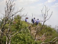 Torà: Els bombers controlant la zona cremada 