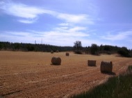 Segarra: Bales de palla rodones  Josep Gatnau