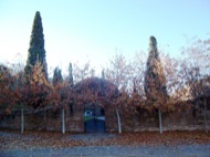 Torà: Cementiri  Josep Gatnau