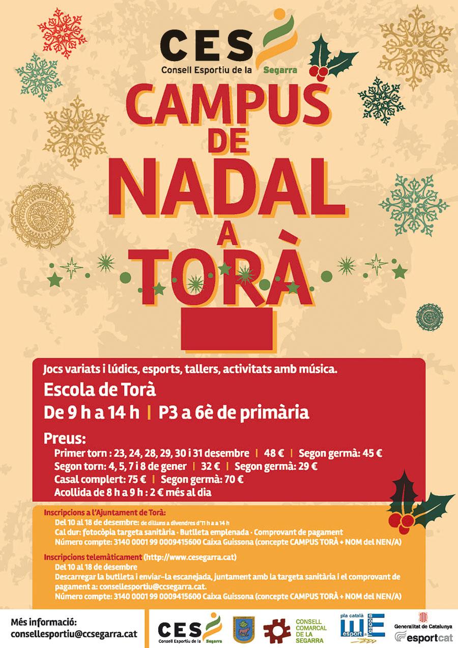 cartell Campus de Nadal Torà 2015