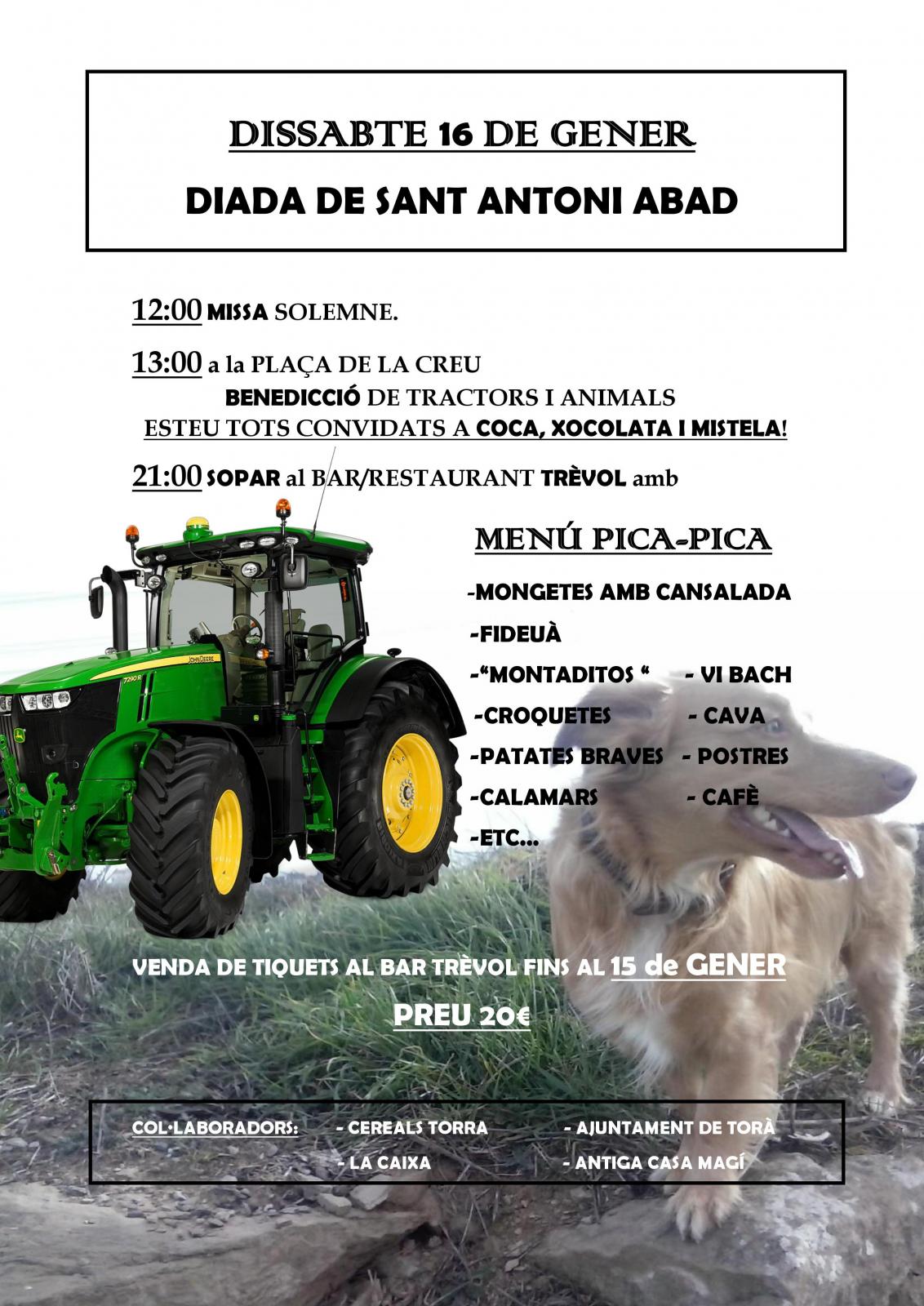 cartell Festa Sant Antoni Abad