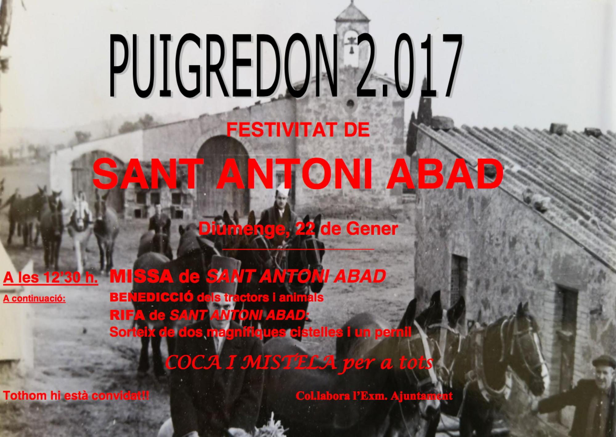cartell Festa de Sant Antoni Abat a Puigredon