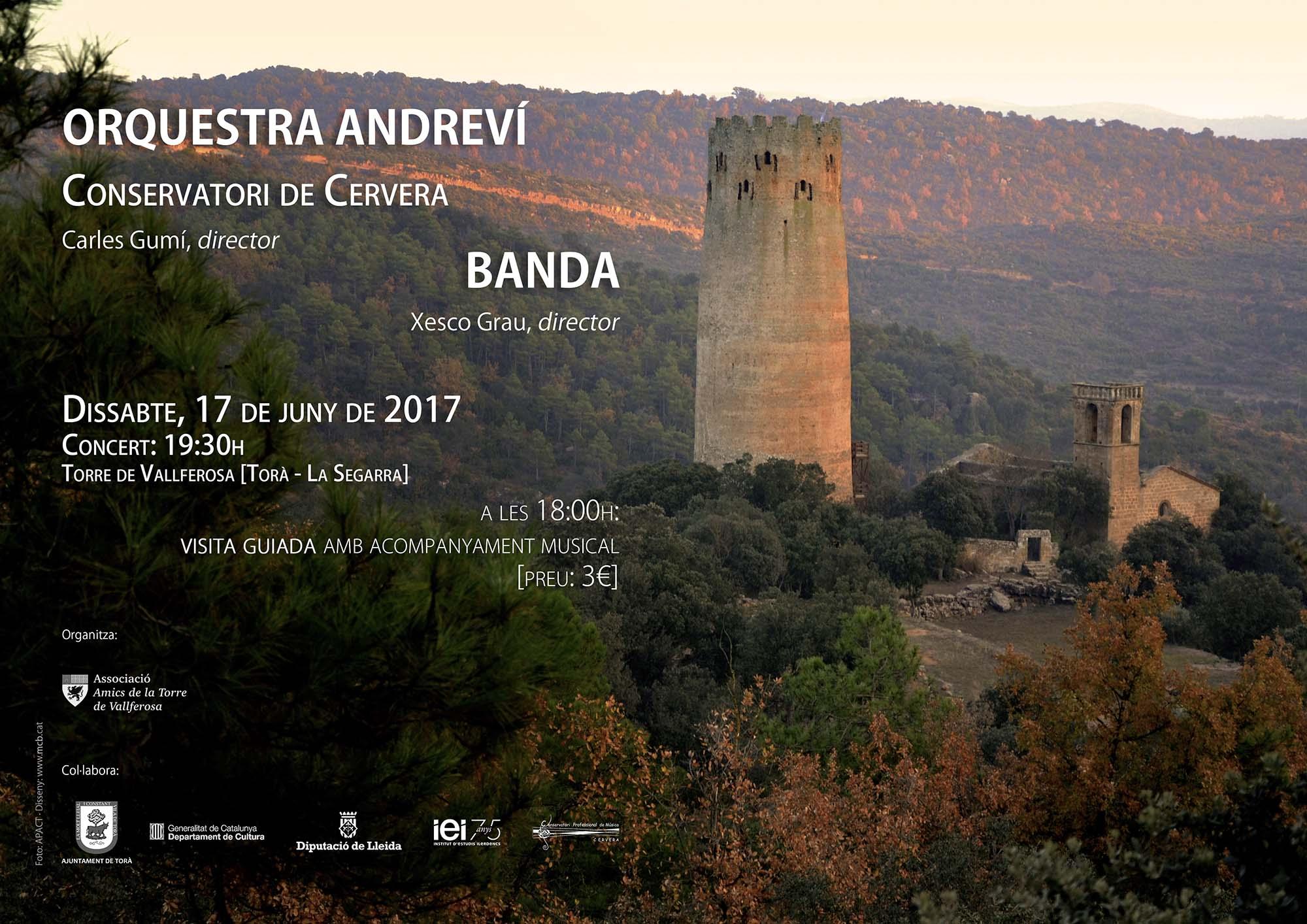 cartell Concert a Vallferosa