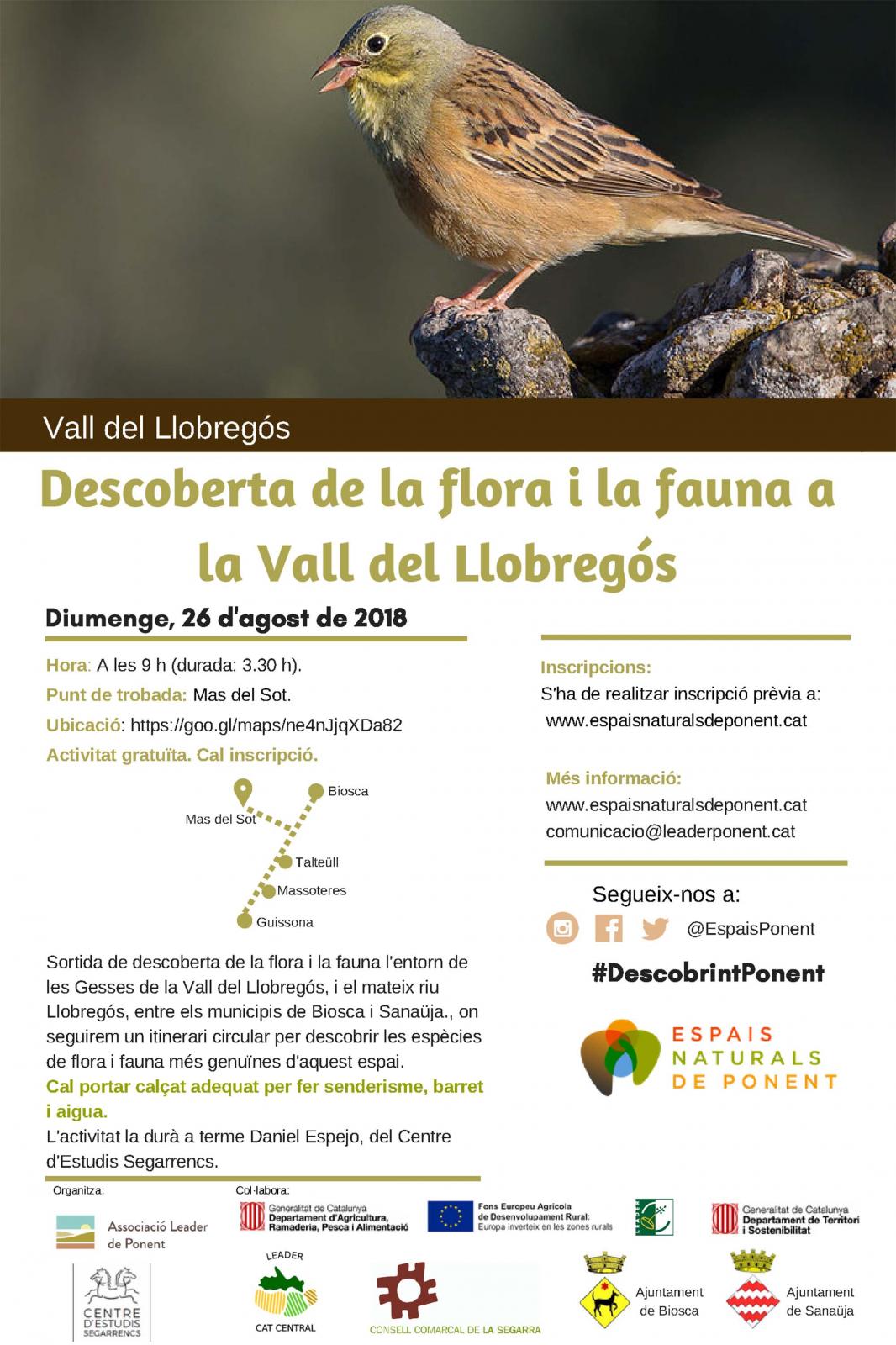 Descoberta de la flora i la fauna a la Vall del Llobregós