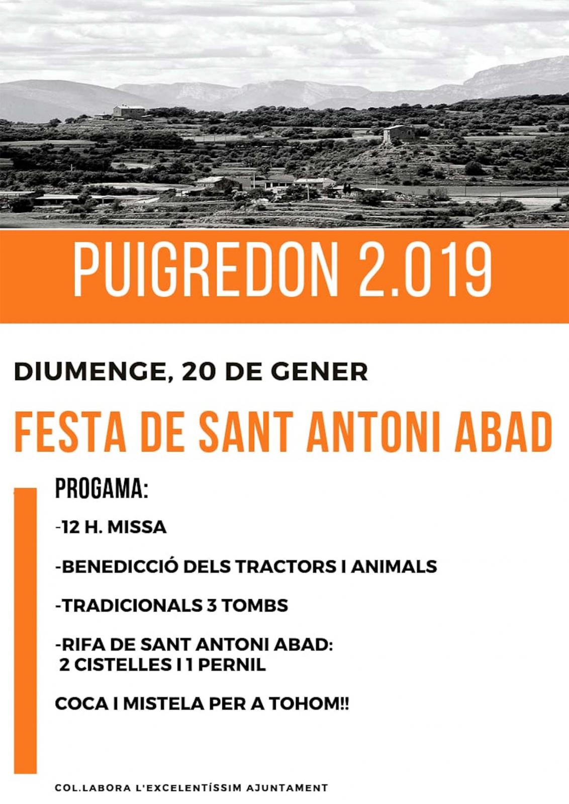 Festa de Sant Antoni Abat 2019 a Puigredon