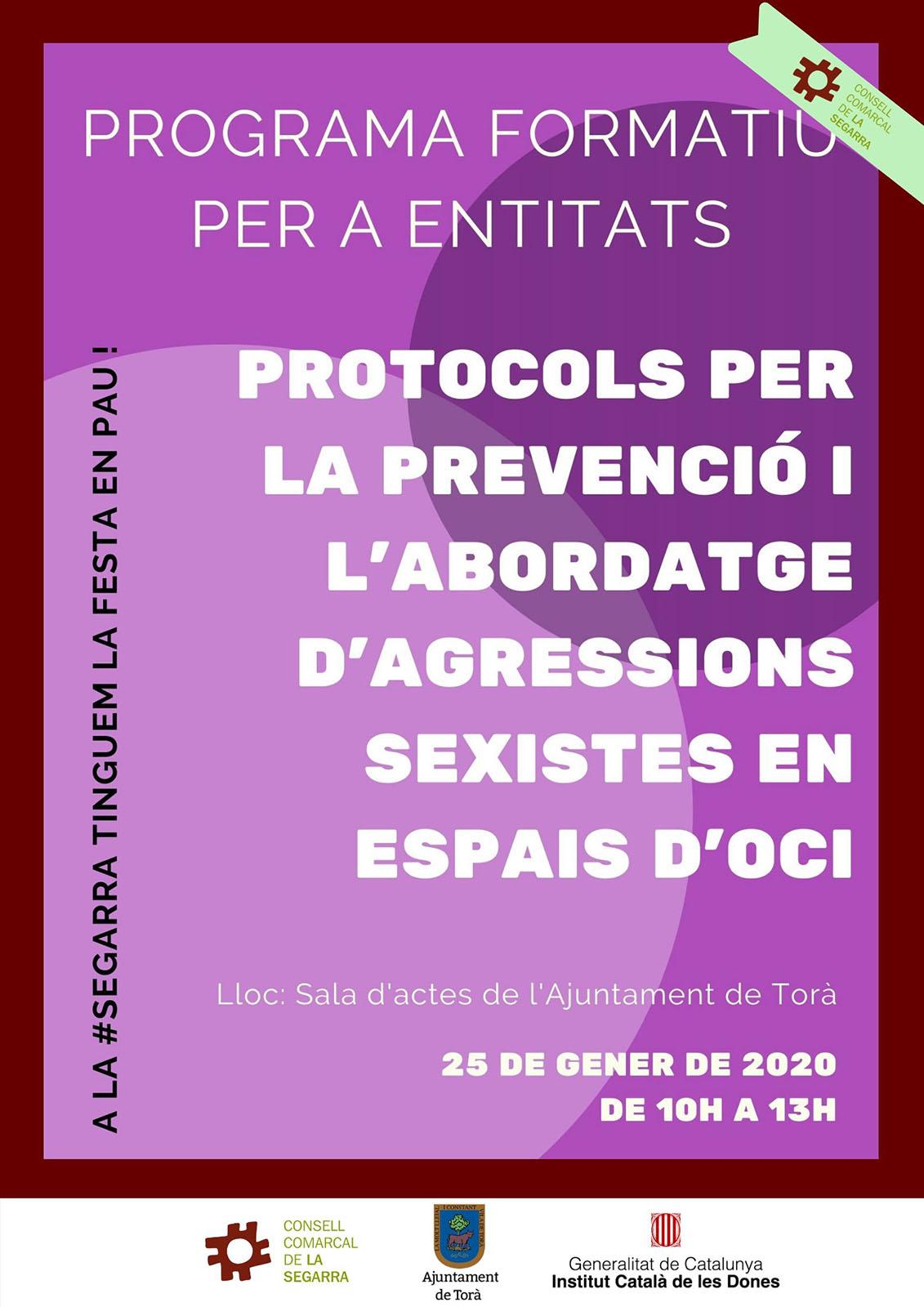 Curs 'Programa per la implementació de protocols per la prevenció i l'abordatge d'agressions sexistes en espais d'oci'