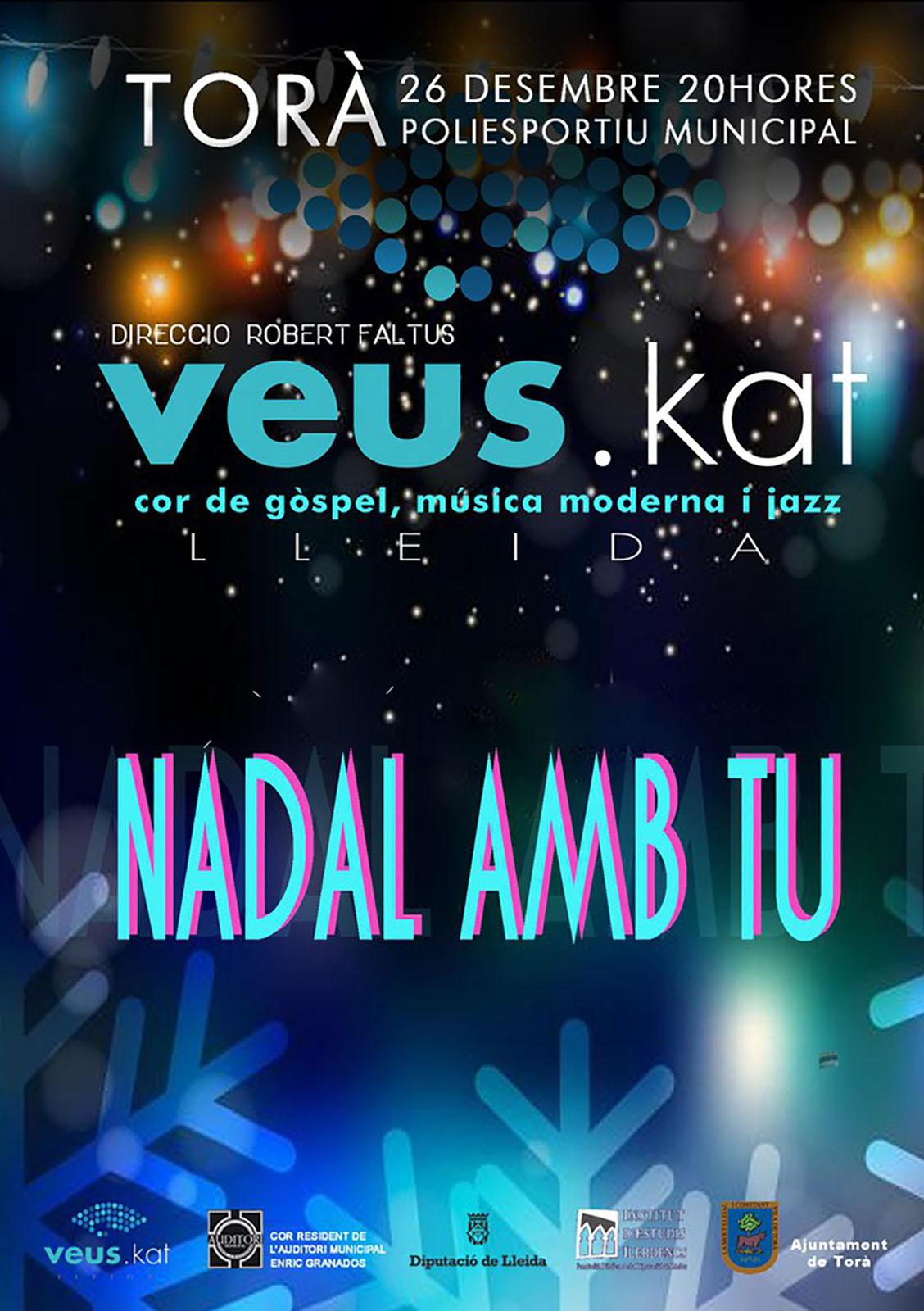 cartell Concert 'Nadal amb tu'