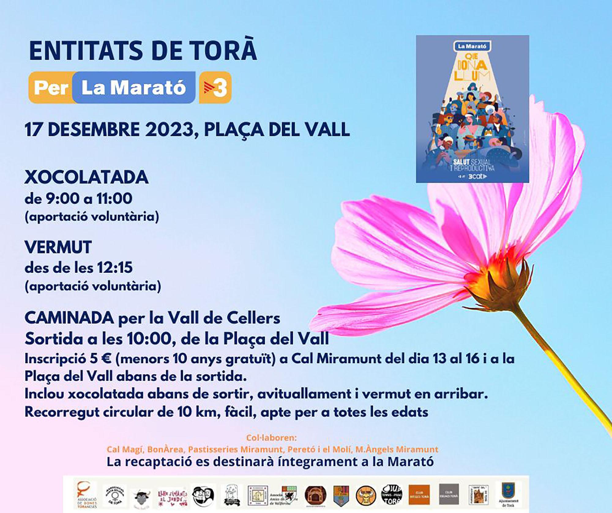 cartell Activitats a Torà per la Marató de TV3 2023
