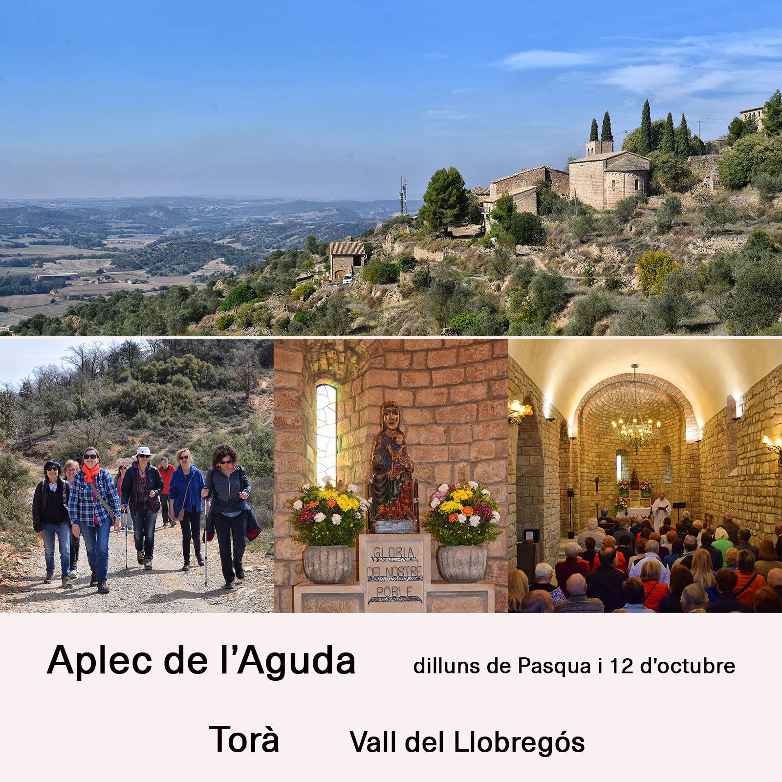 cartell Aplec de tardor a l'Aguda 2025